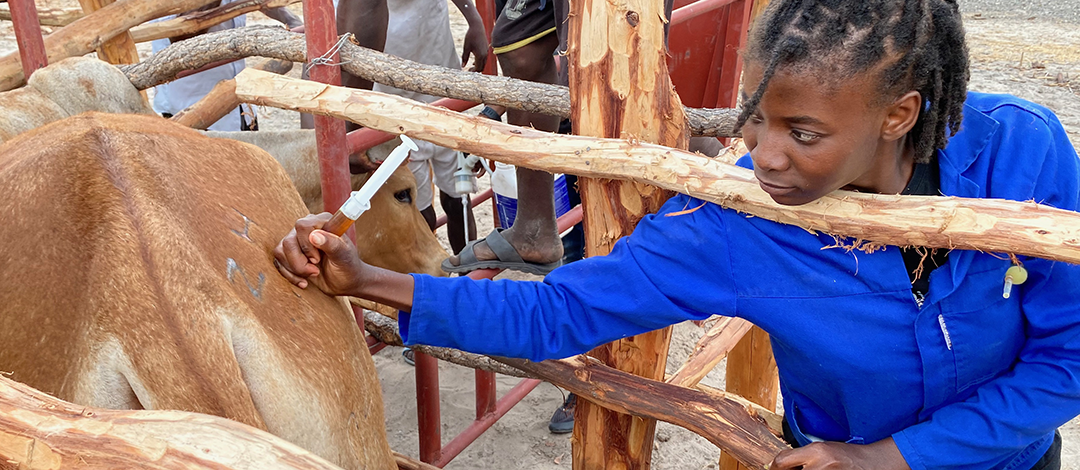 Animal health (3_1080x470