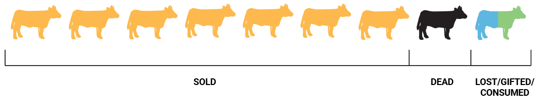 Comparison2_positive