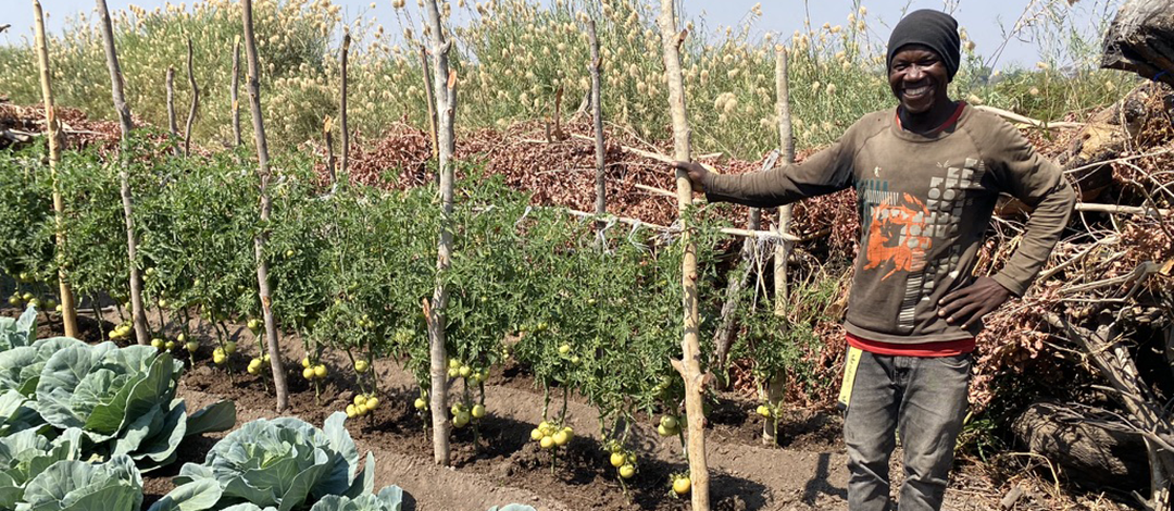 Vegetable farmer_1080x470