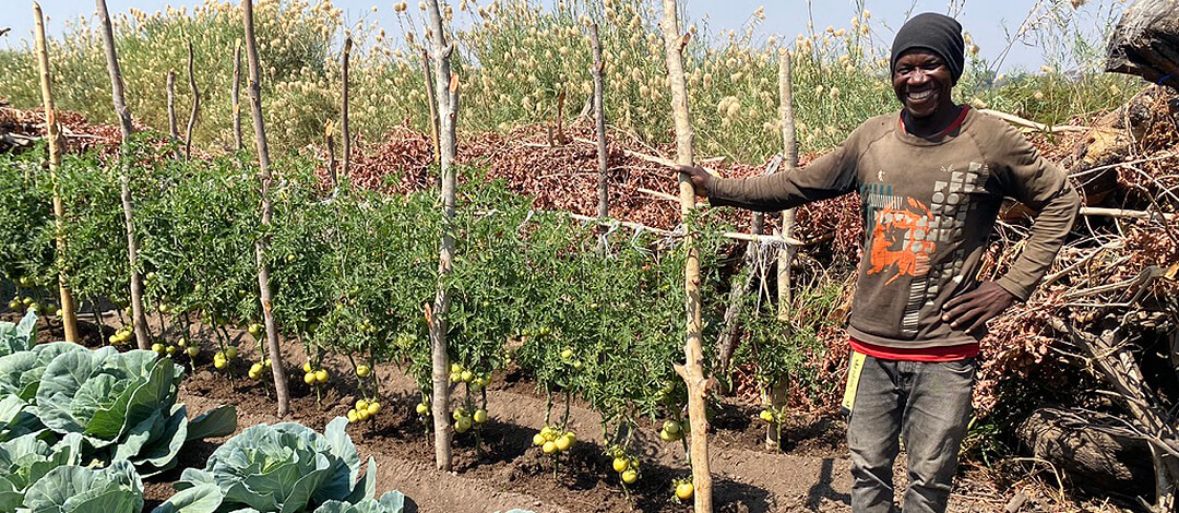 Vegetable_farmer_T Happy vegetable farmer standing next to his crop. Mafisa.